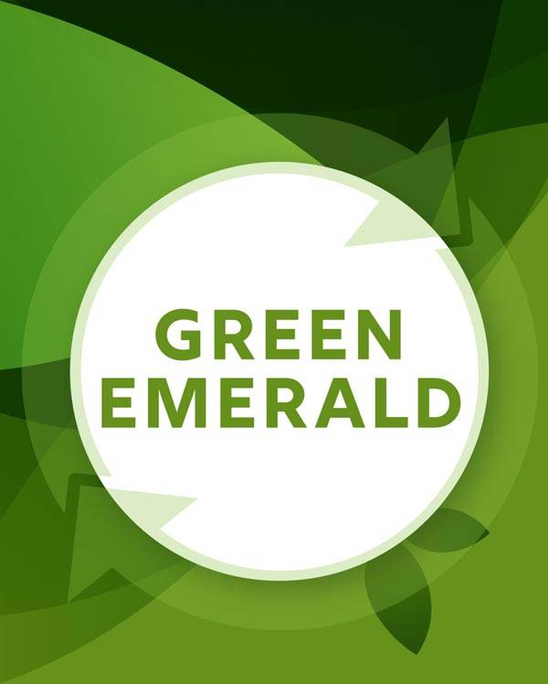 Economia Circolare - Buy Circular - servizi-green-emerald-logo