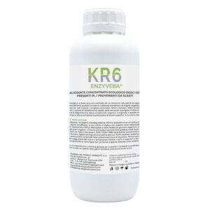 Buy Circular - Paneco Ambiente - KR 6 - 1l